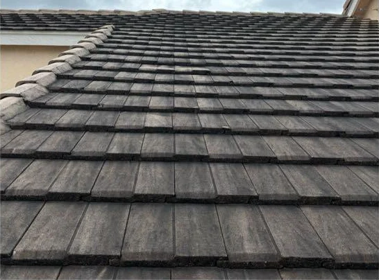 Roof before: black mildew over the tiles