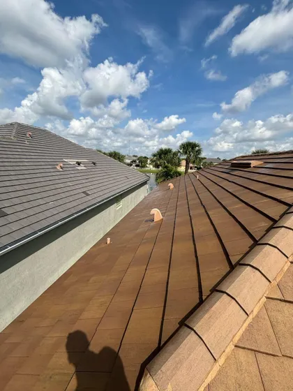 Freshly cleaned roof tiles in the sun