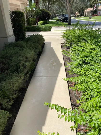 A clean concrete walkway lined with hedges